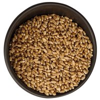 Sharbati Wheat