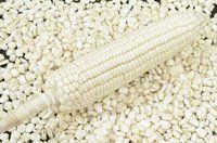 White Corn