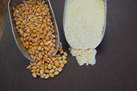 Maize Flour