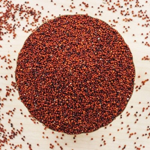 Ragi Seeds