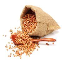 Red Sorghum