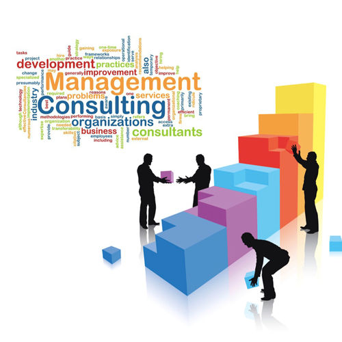 Business Management Consulting