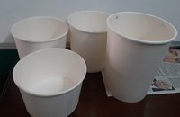 paper food containers