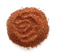 Red Millet