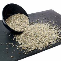 Grey Millet