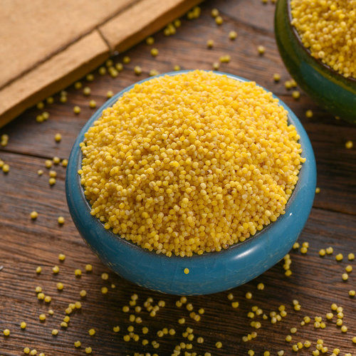 Yellow Millet - Organic Grains | Rich in Nutrients, Gluten-Free, High Fiber Content