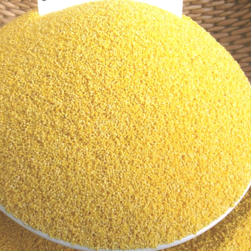 Yellow Millet