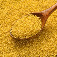 Yellow Millet