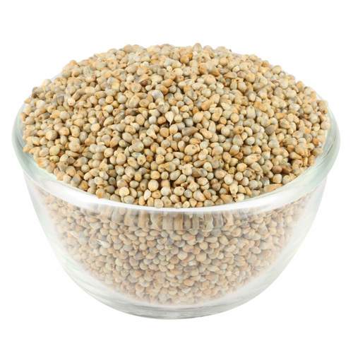 Green Millet