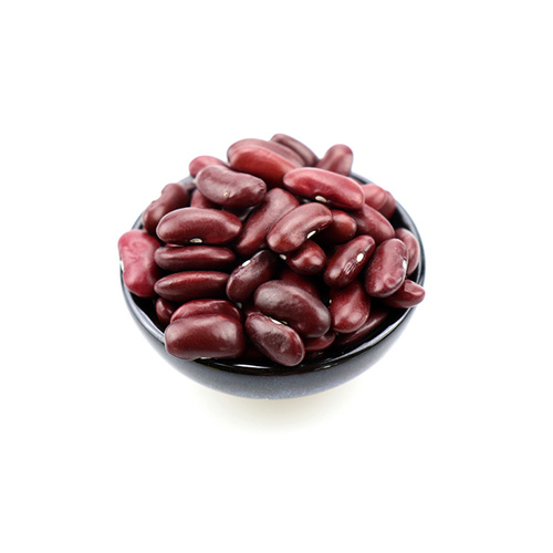 Kidney Beans By CMS INDUSTRIES