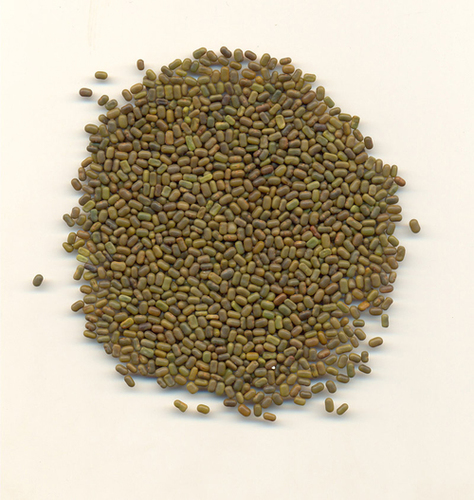 Sesbania Seed