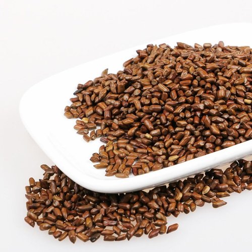 Cassia Tora Seeds Manufacturer,Supplier,Exporter