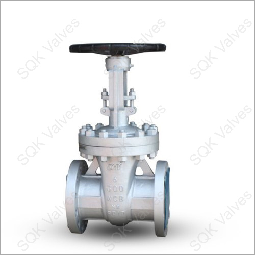 Class 300 Gate Valve