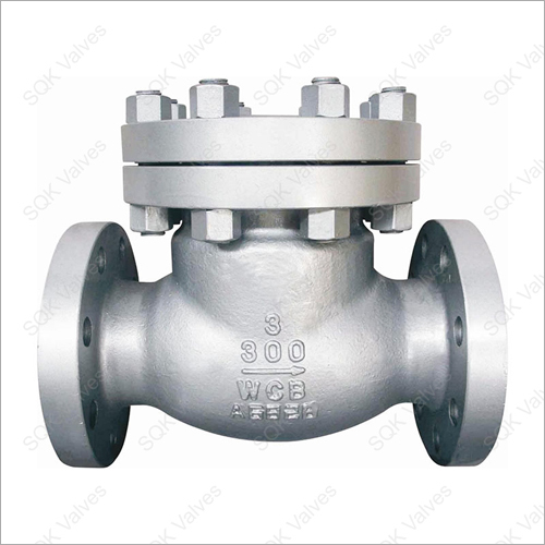 Class 300 Swing Check Valve