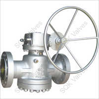 Class 2500 Plug Valve