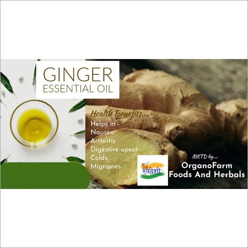 Ginger Essential Oil By ORGANOFARM FOODS AND HERBALS
