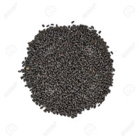 Basil Seeds