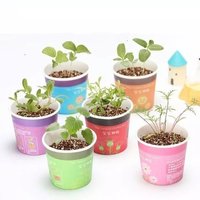 Office Desktop Mini Plant Pot