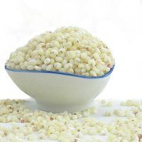 Snow-White Sorghum