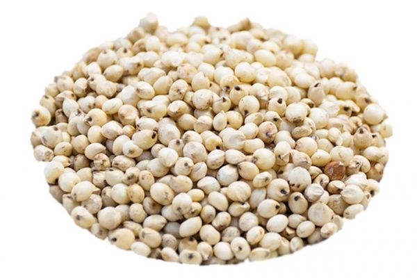 Creamy White Sorghum