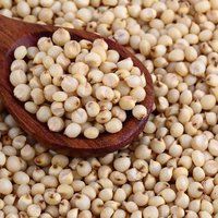 Creamy White Sorghum