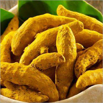 Turmeric Finger with 2-3% Curcumin