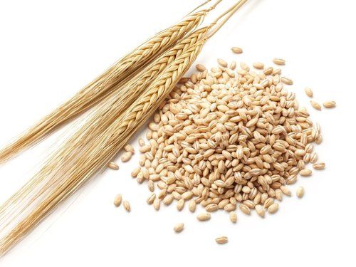 Natural Barley