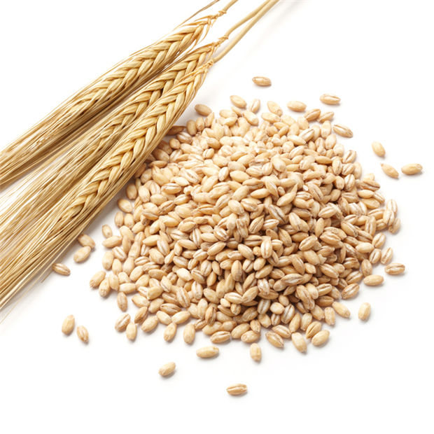 Natural Barley