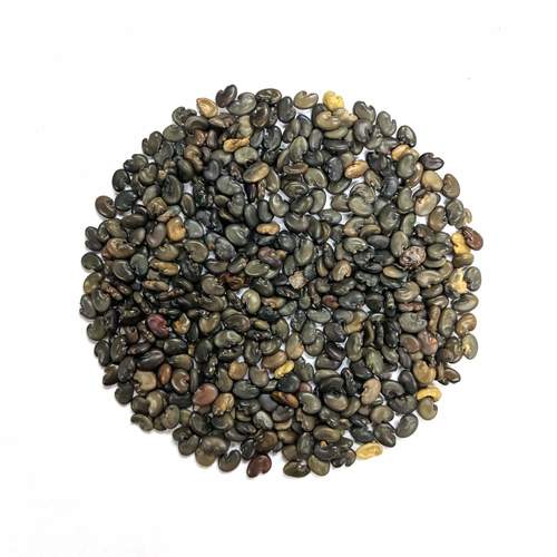 Sunhemp Seeds