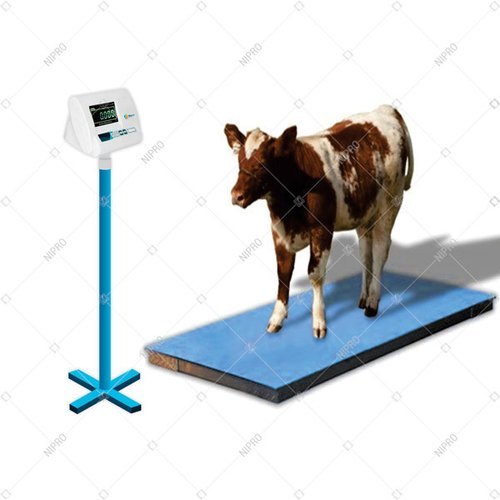 Cow Weighing Scale
