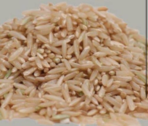 Brown rice