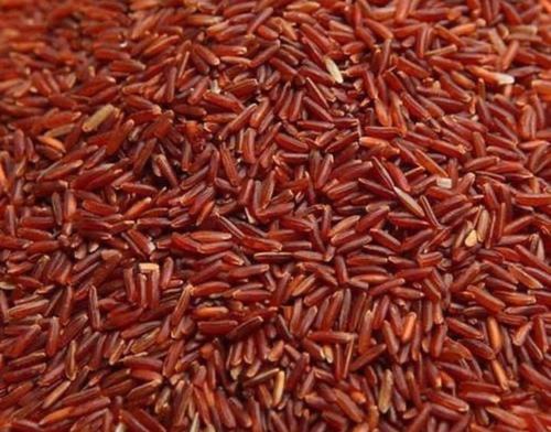 Red rice