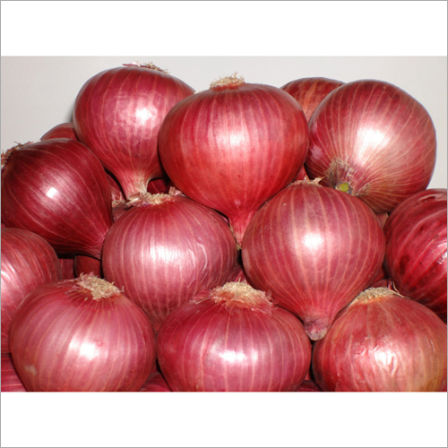 Red Onion