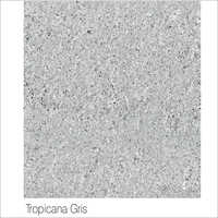 Tropicana Gris Tiles