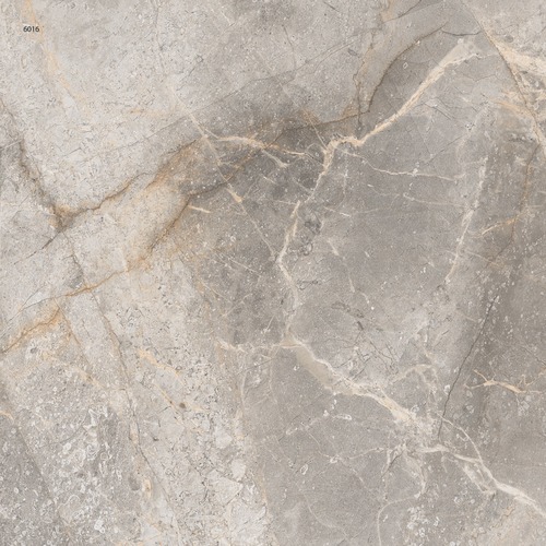 Digital Ceramic Floor Tiles 