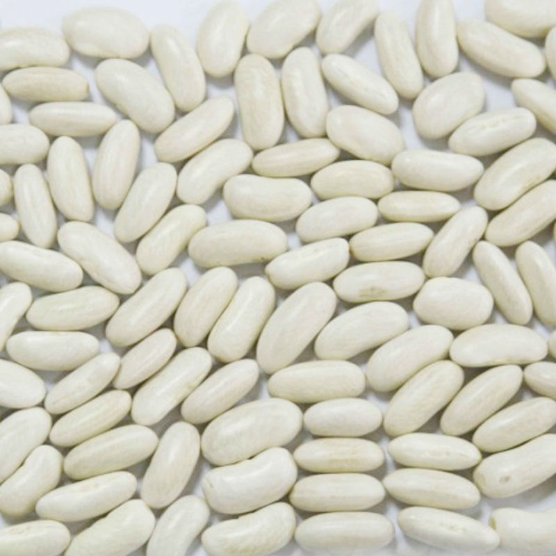 White Kidney Beans