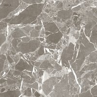 Porcelain Glazed Floor Tiles