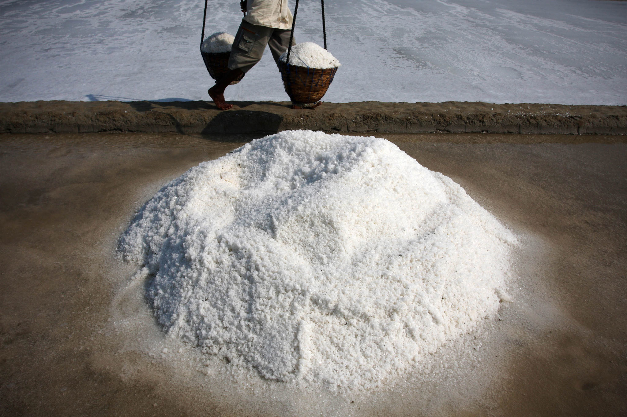Salt Chemical