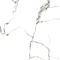 Nano Vitrified Tiles