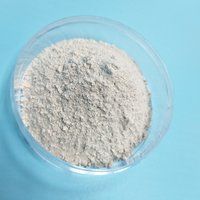 Bleaching Powder