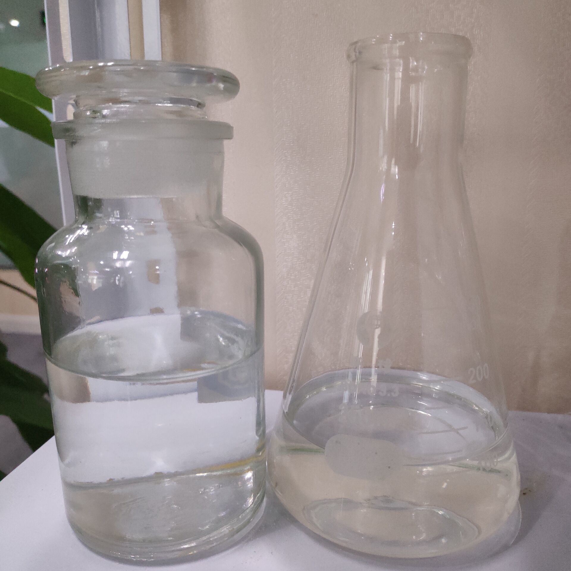 Dimethyl Sulfoxide