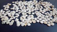 Aquarium Flat Round Smooth Gravels And Chips sand stone special aquatic application