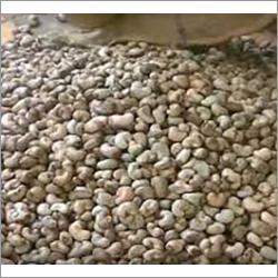 Organic Cashew Nut