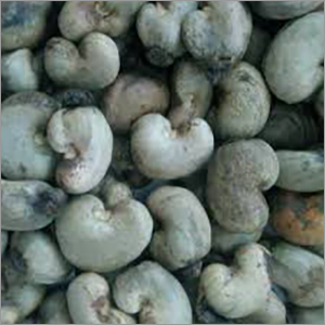 Raw Cashew Nut - Cultivation Type: Organic