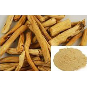 Shatavari Dry Extract