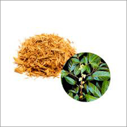Muira Puama Dry Extract