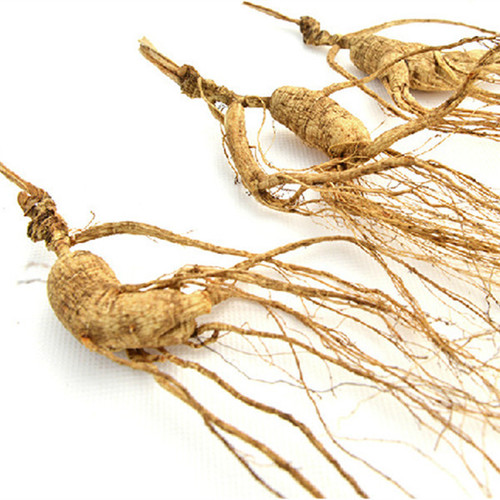 Chinese Famous and Healthy Wild Ginseng About 18 Years Old From Changbai Mountain, Jilin