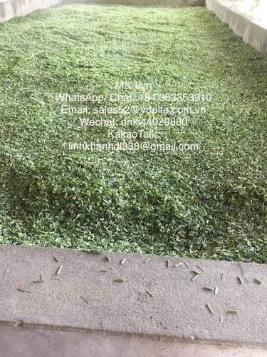 Dried Lemongrass leaves
