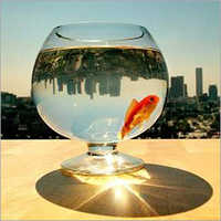 Fish Glass Vase