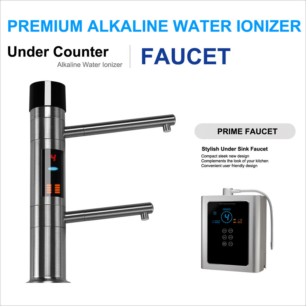 RSB 09 USF Alakine Water Ionizer